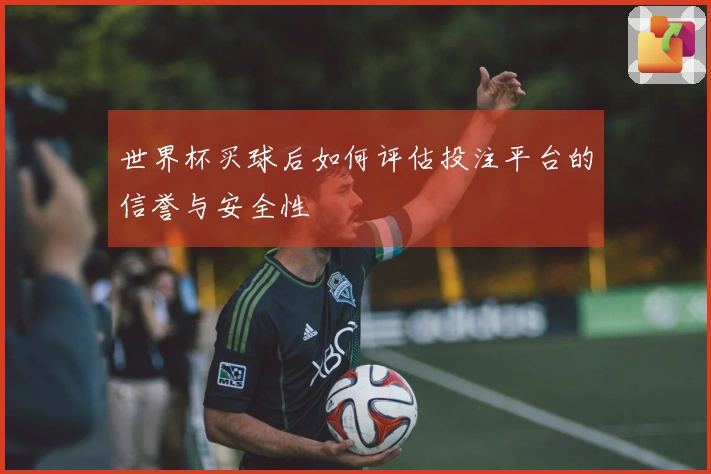 世界杯买球后如何评估投注平台的信誉与安全性