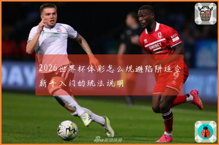 2026世界杯体彩怎么规避陷阱适合新手入门的玩法说明