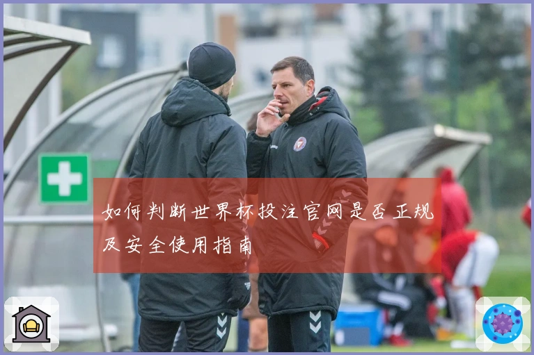 如何判断世界杯投注官网是否正规及安全使用指南