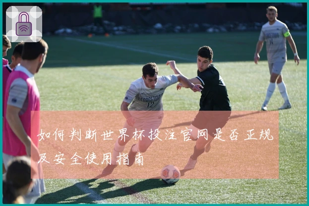 如何判断世界杯投注官网是否正规及安全使用指南