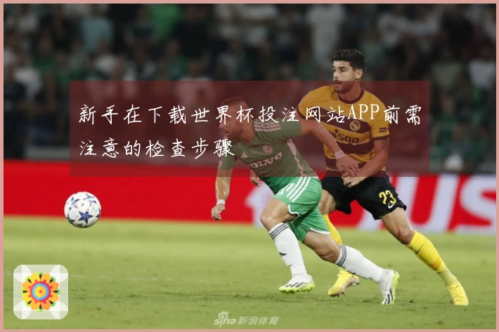 新手在下载世界杯投注网站APP前需注意的检查步骤
