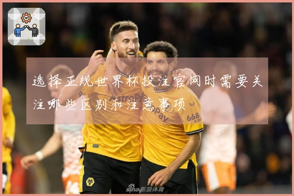 选择正规世界杯投注官网时需要关注哪些区别和注意事项