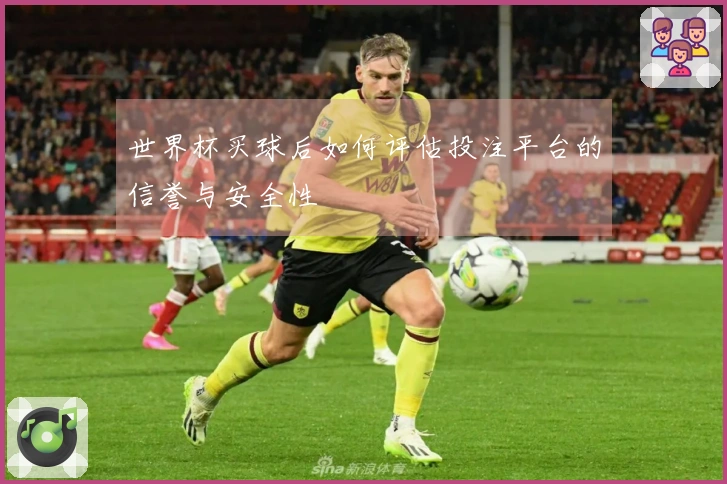 世界杯买球后如何评估投注平台的信誉与安全性